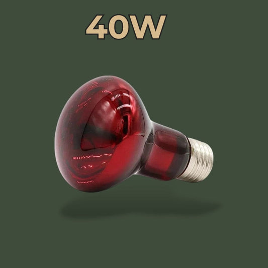 Lampe Infrarouge | Gecko Terranys