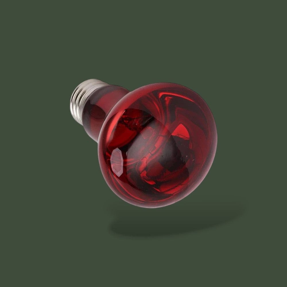 Lampe Infrarouge | Gecko Terranys
