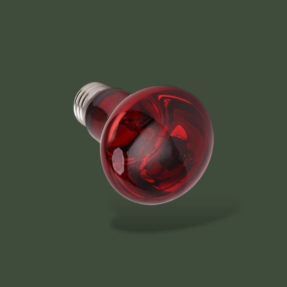 Lampe Infrarouge pour Terrarium Terranys
