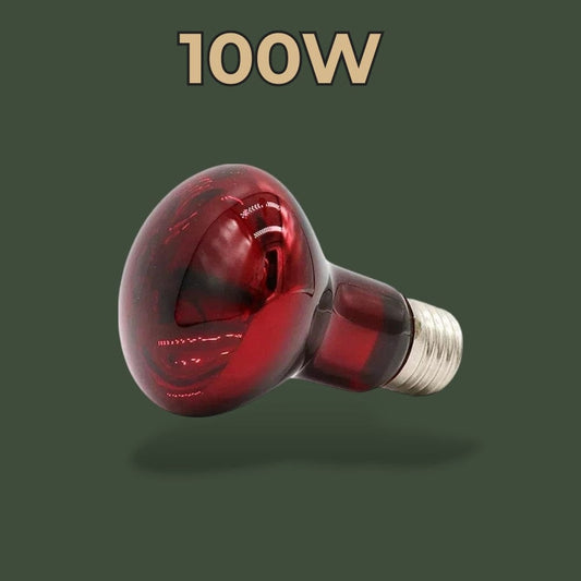 Lampe Infrarouge | Reptile Terranys