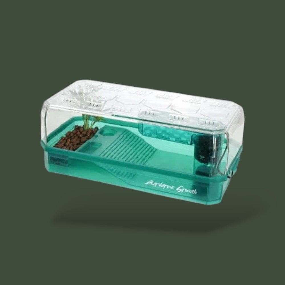 Maison pour Tortue D'eau Terranys