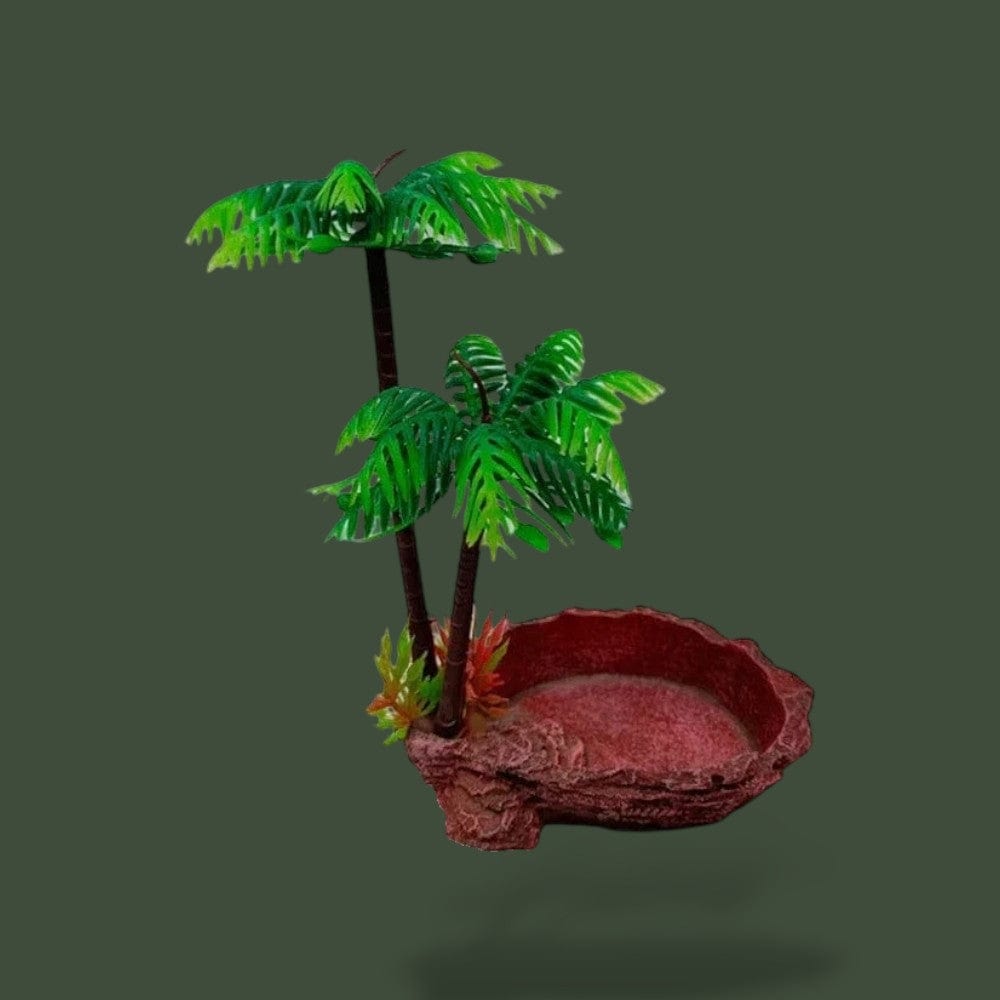 Mangeoire | Aquarium Terranys