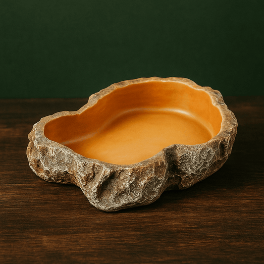 Mangeoire original pour Terrarium | Terranys Terranys