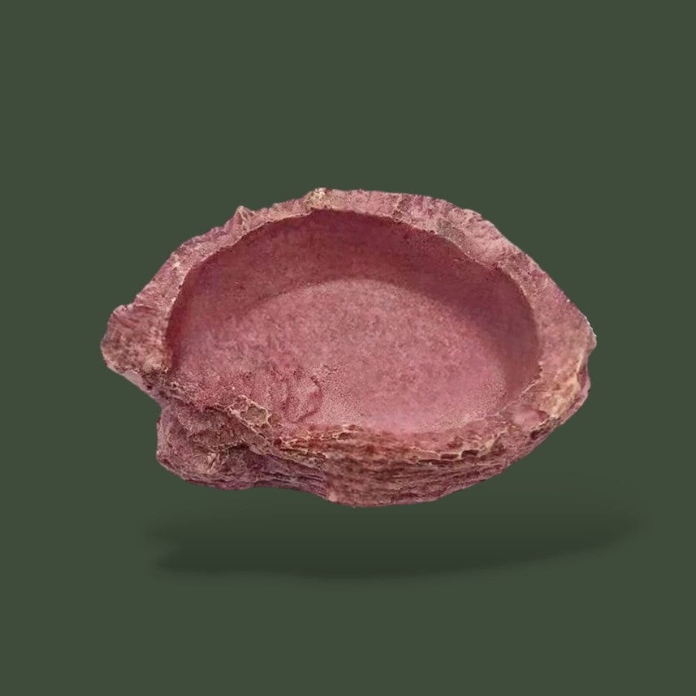 Mangeoire | Pour Reptile Terranys