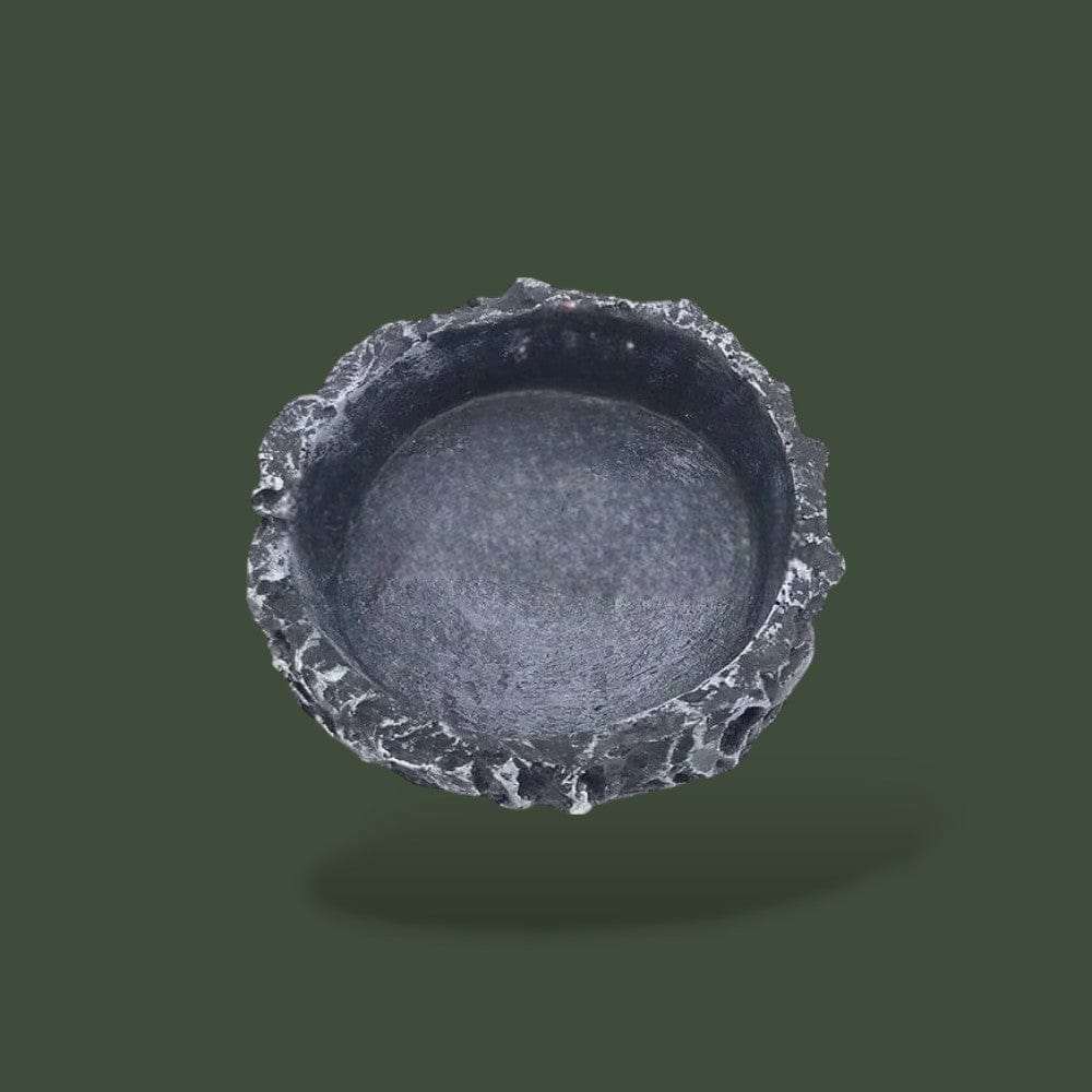 Mangeoire | Reptile Terranys