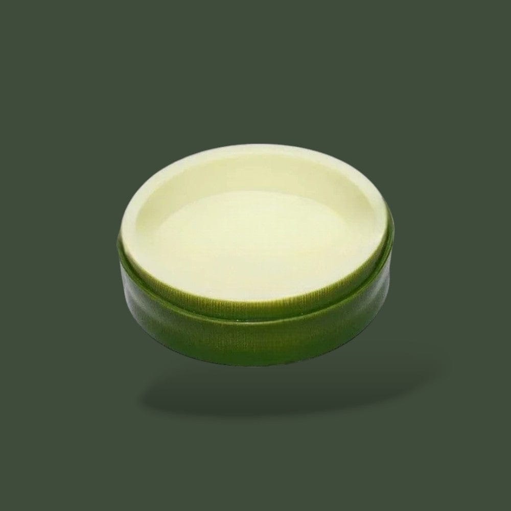 Mangeoire Rocher | Reptile Terranys