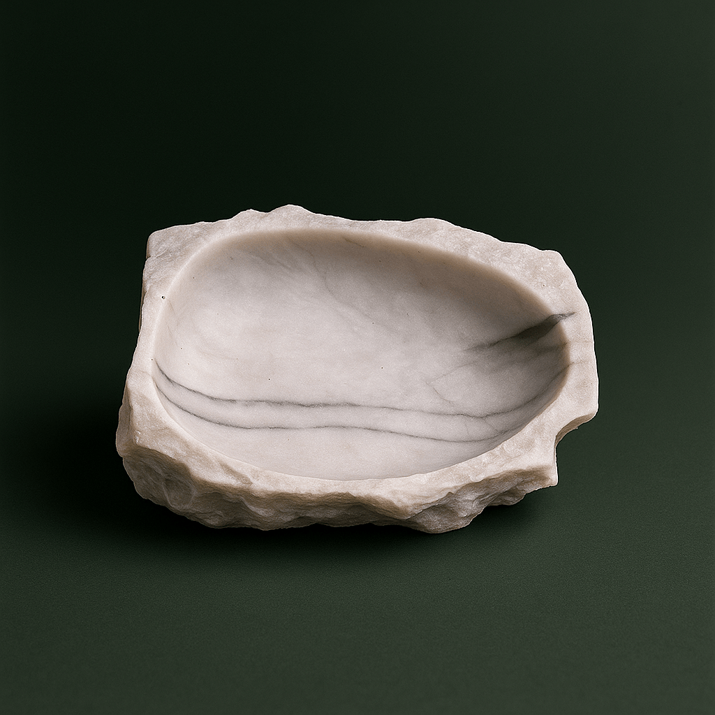 Mangeoire Tortue de Terre | Terranys Terranys