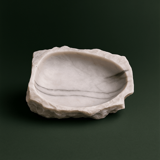 Mangeoire Tortue de Terre | Terranys Terranys