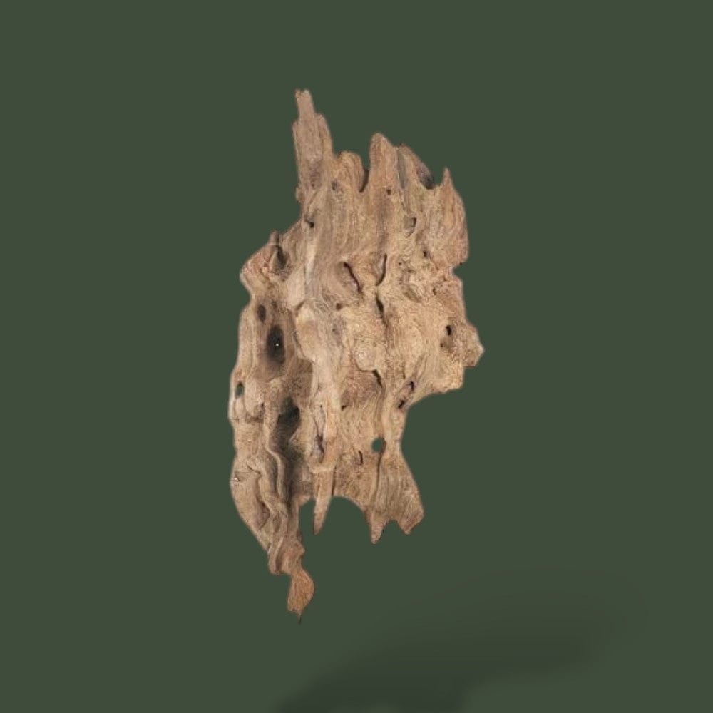 Morceau de Bois | Déco  Terranys