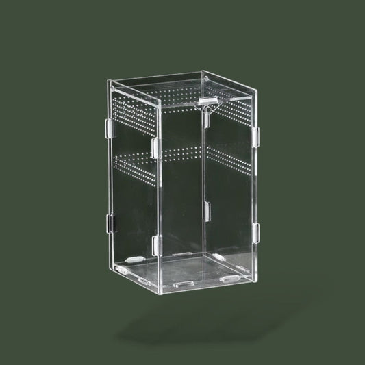 Petit Serpent | Terrarium Terranys