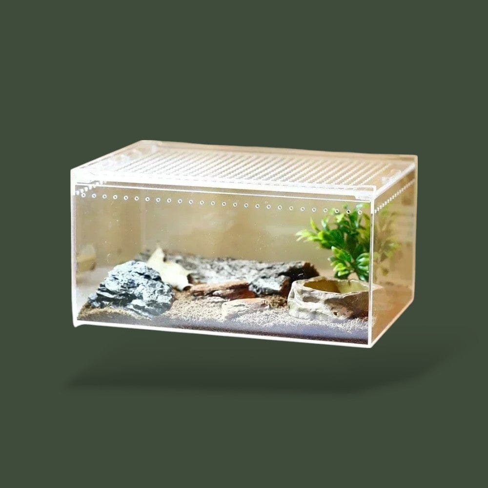 Petite Boite Acrylique  Terranys