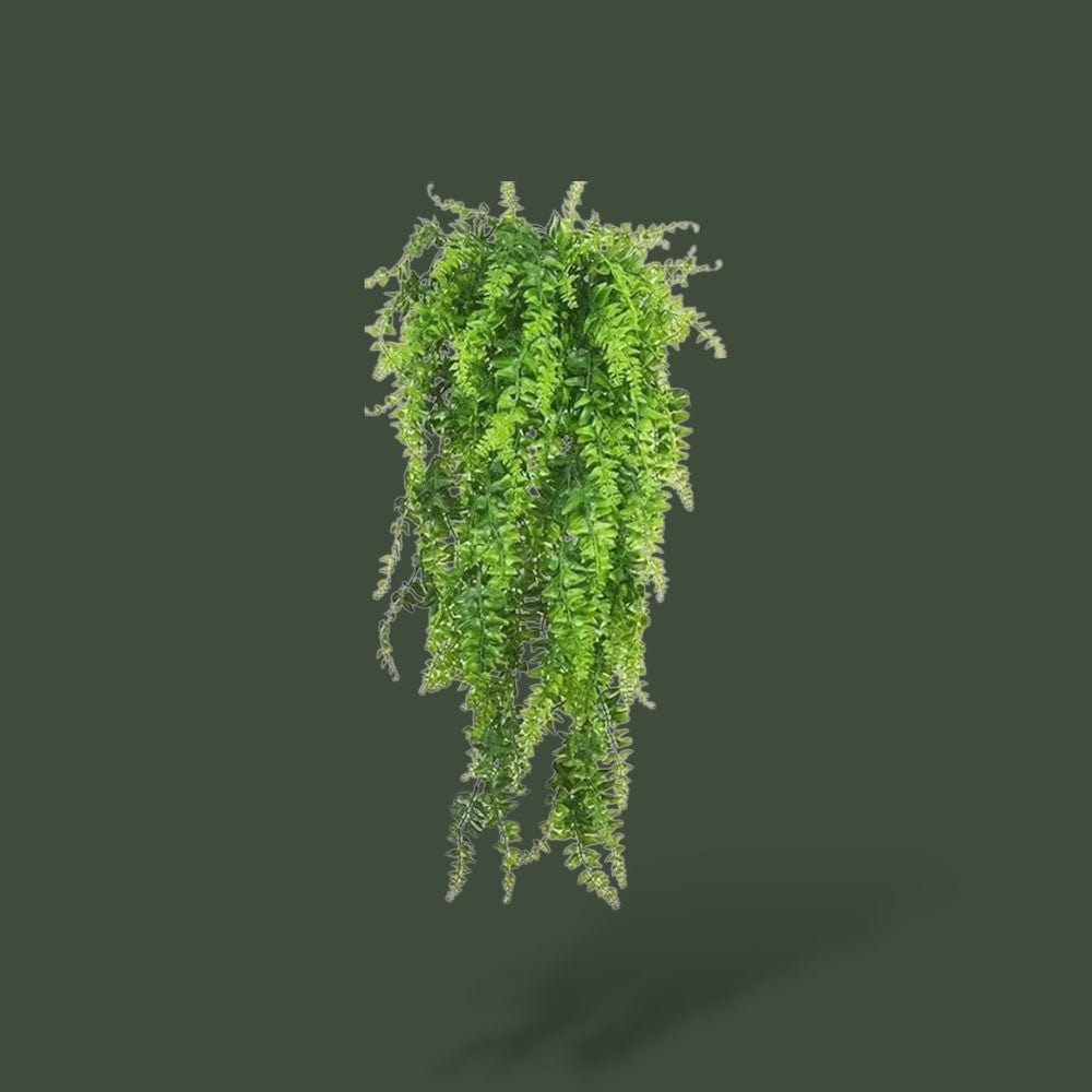 Plante pour Terrarium | Reptile Terranys