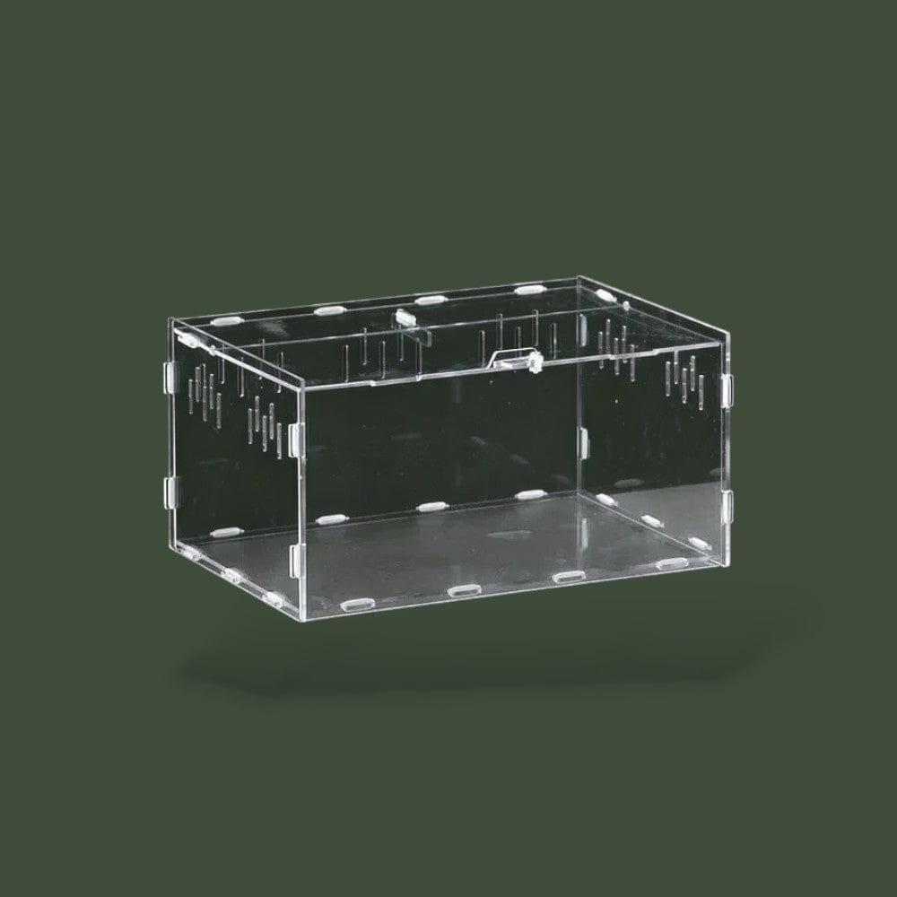 Reptile | Habitat  Terranys