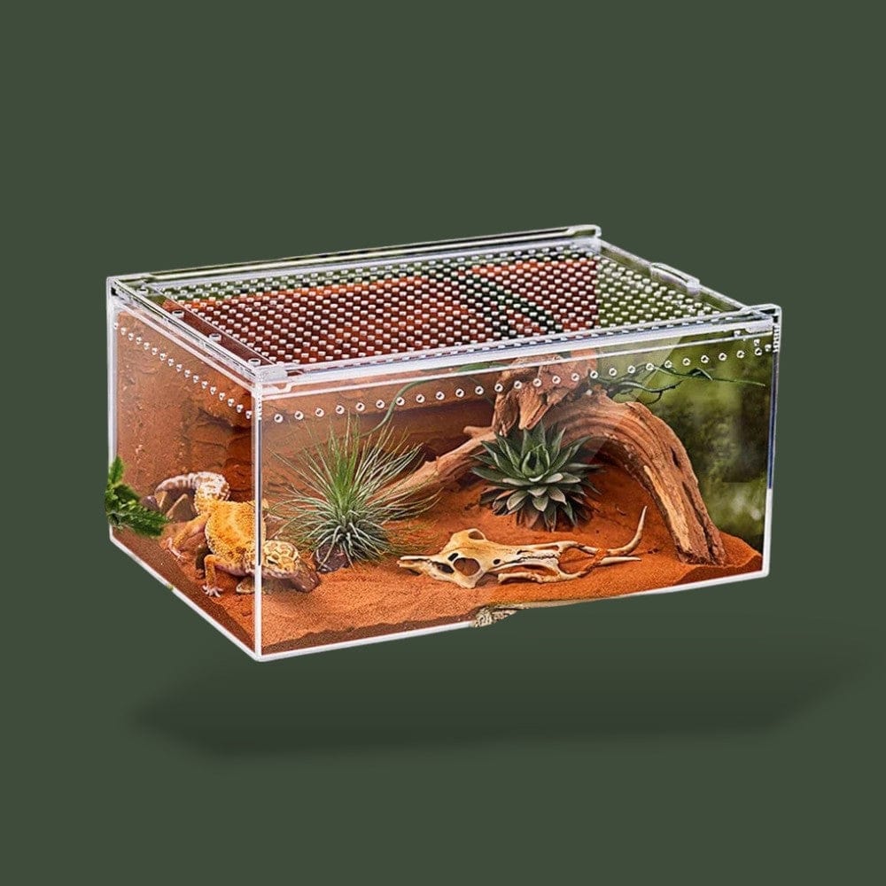 Terrarium a Serpent Terranys