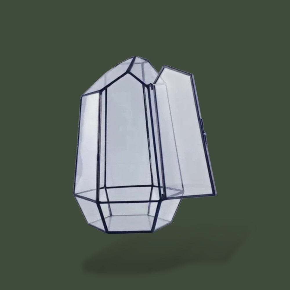 Terrarium Bocal | Design Terranys