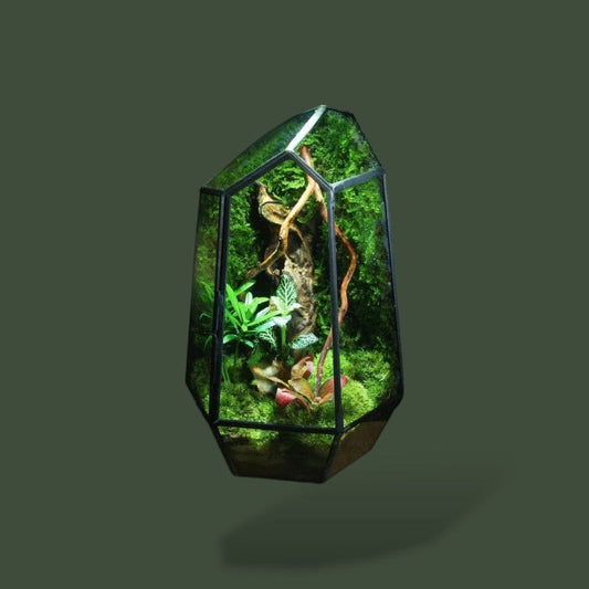 Terrarium Bocal | Design Terranys