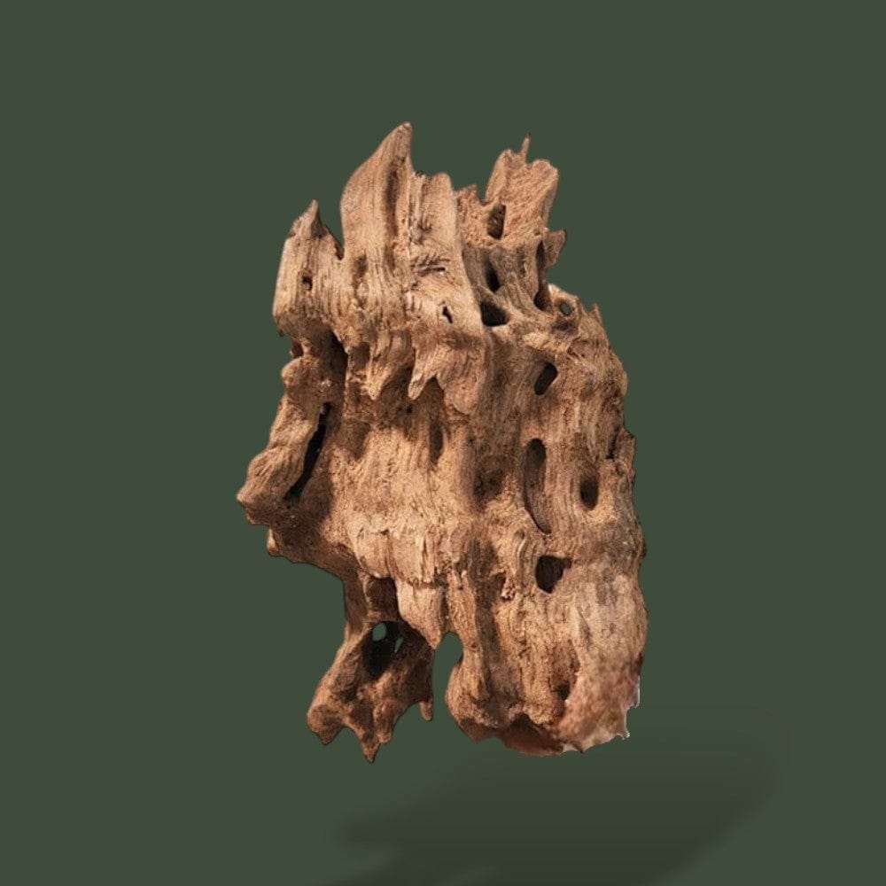 Terrarium | Bois Terranys
