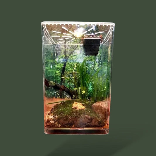 Terrarium | Boite Terranys