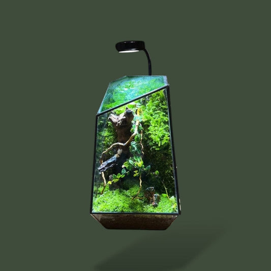 Terrarium | Design Terranys