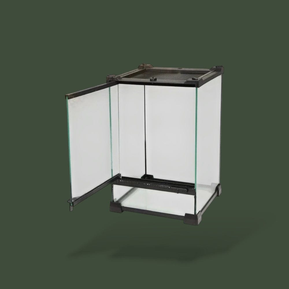 Terrarium en Verre pour Reptile Terranys