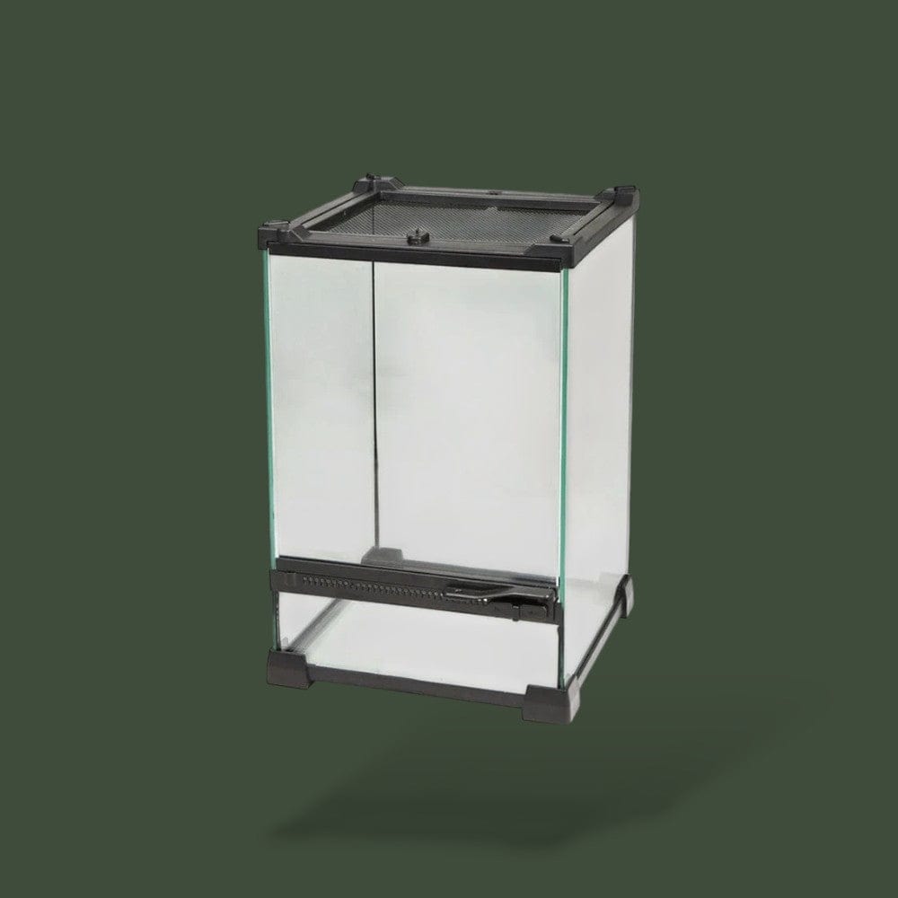 Terrarium en Verre pour Reptile Terranys