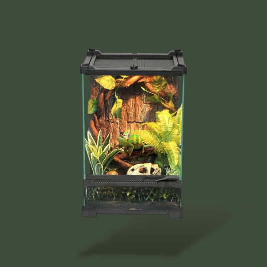 Terrarium en Verre pour Reptile Terranys