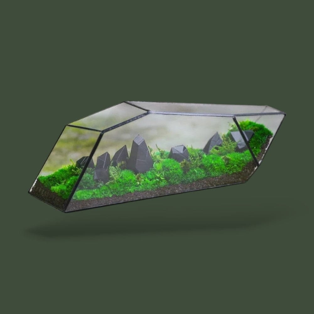 Terrarium en Verre Terranys