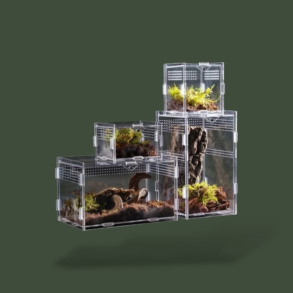 Terrarium Enclos Terranys