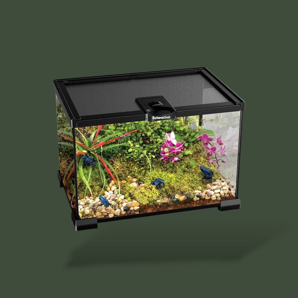 Terrarium | Gecko Terranys