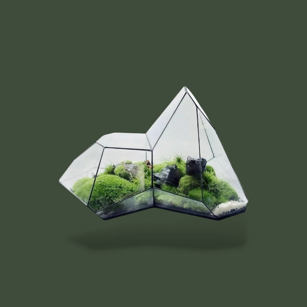 Terrarium Géométrique Terranys