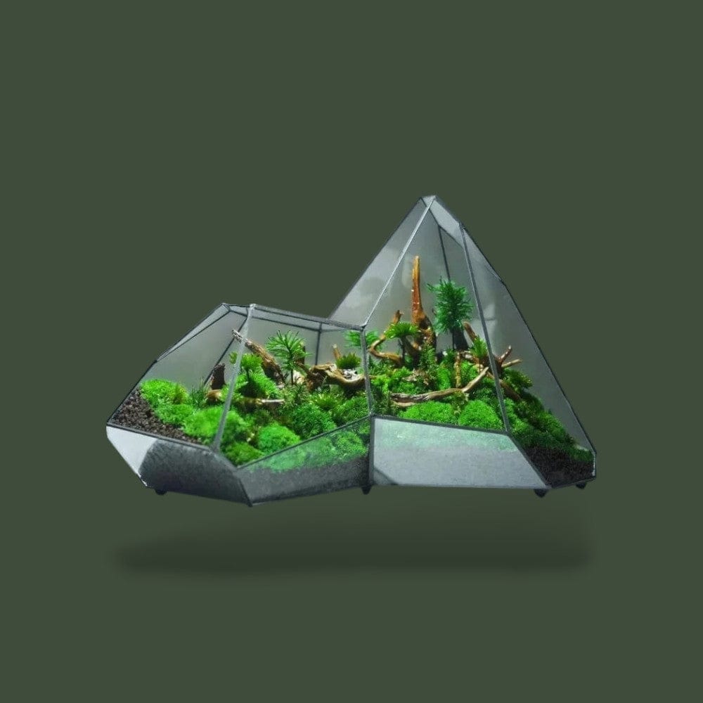 Terrarium Géométrique Terranys
