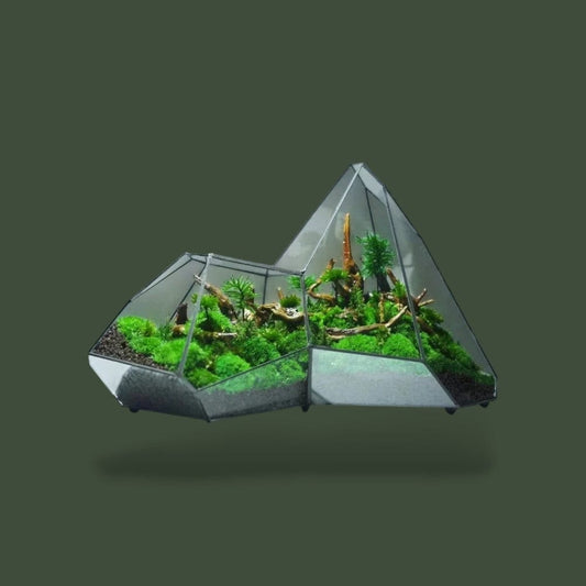 Terrarium Géométrique Terranys