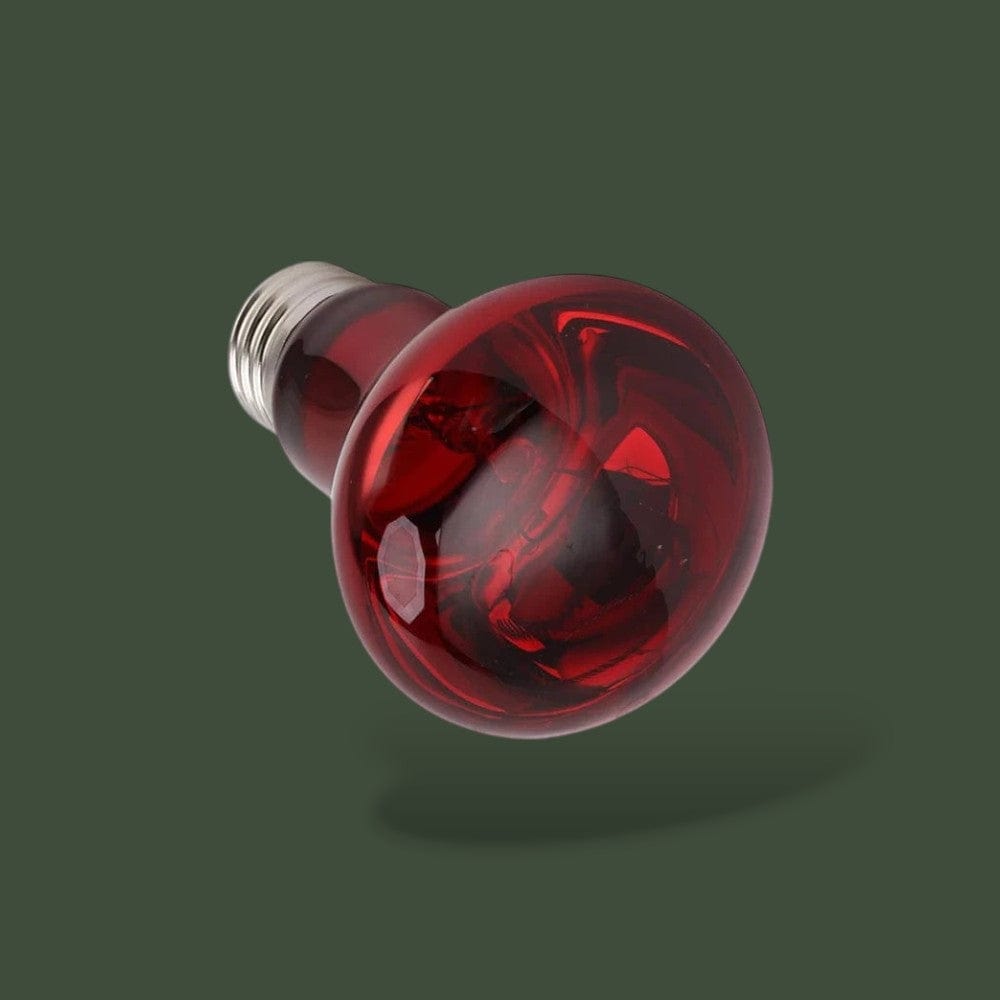 Terrarium Lampe Infrarouge Terranys