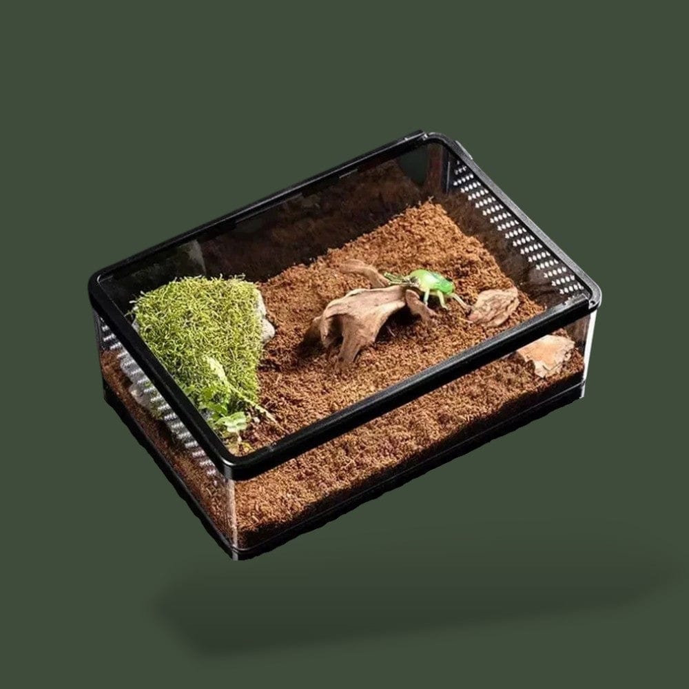 Terrarium | Noir Terranys