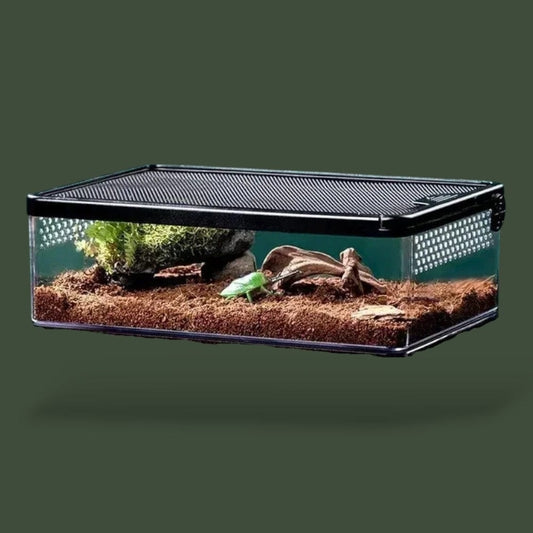Terrarium | Noir Terranys