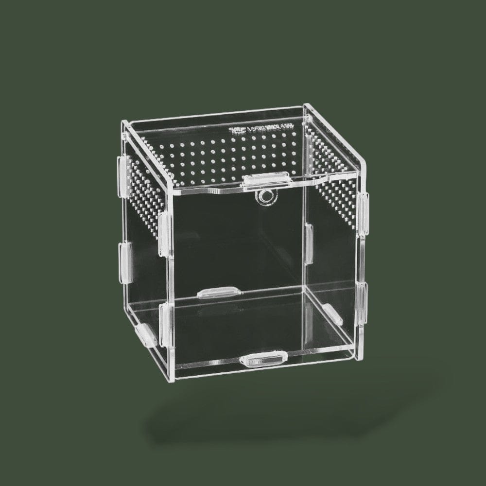 Terrarium petit Terranys