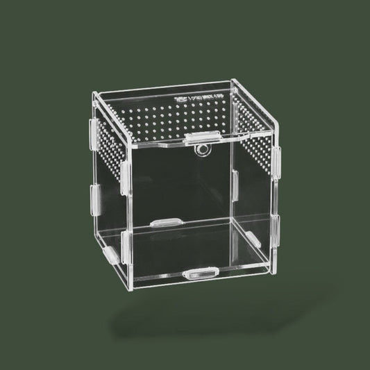 Terrarium petit Terranys