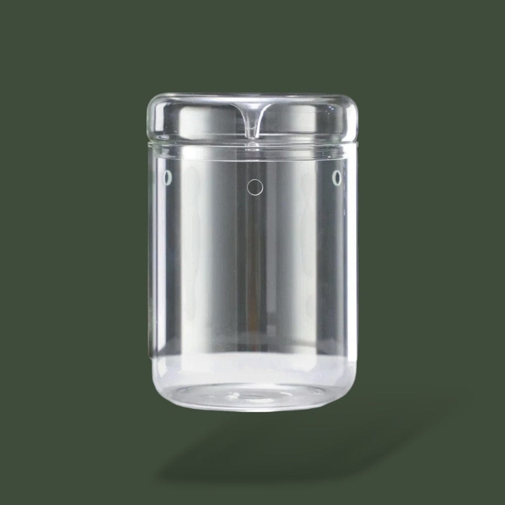 Terrarium Plante Bocal  Terranys