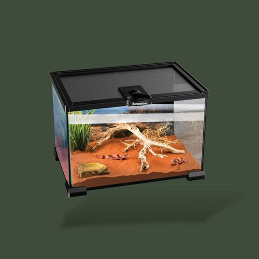 Terrarium pour Gecko  Terranys