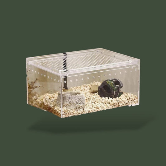 Terrarium pour Serpent Terranys