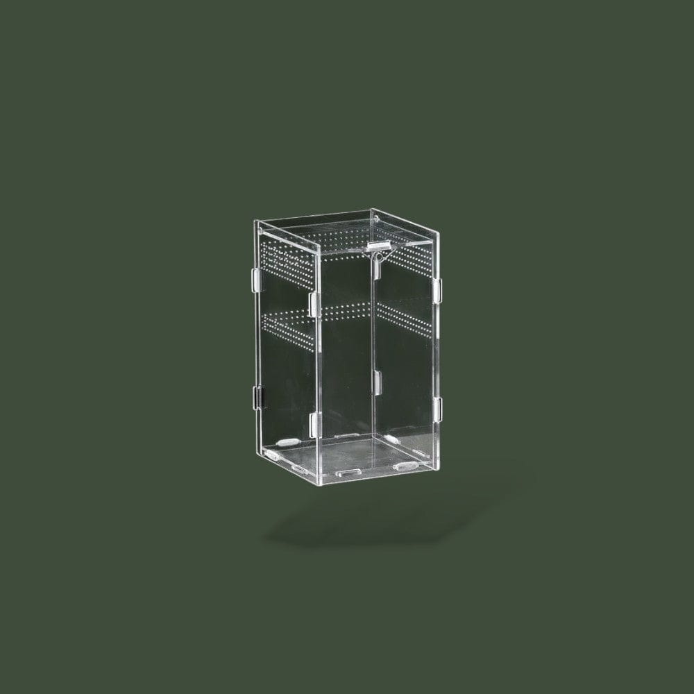 Terrarium Reptile Habitat Terranys