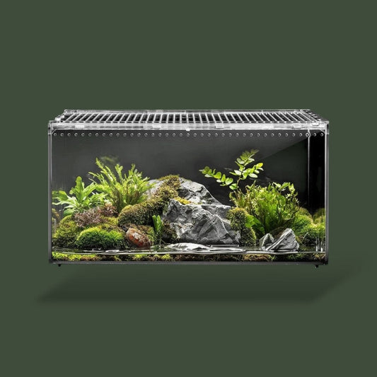 Terrarium | Serpent Terranys