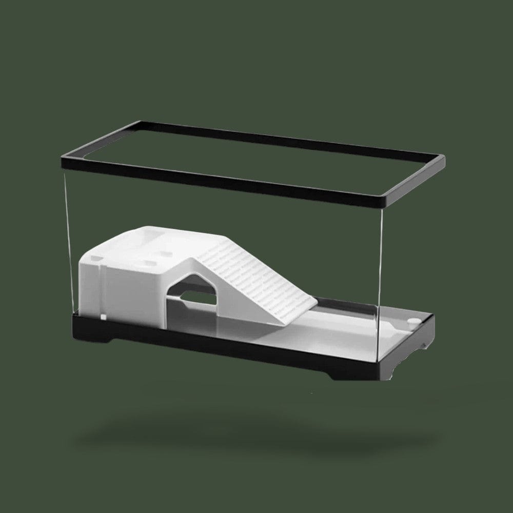 Terrarium | Tortue Terranys