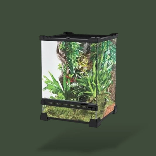 Terrarium Transparent Terranys