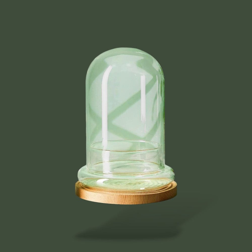 Terrarium Vide pour Plante Terranys