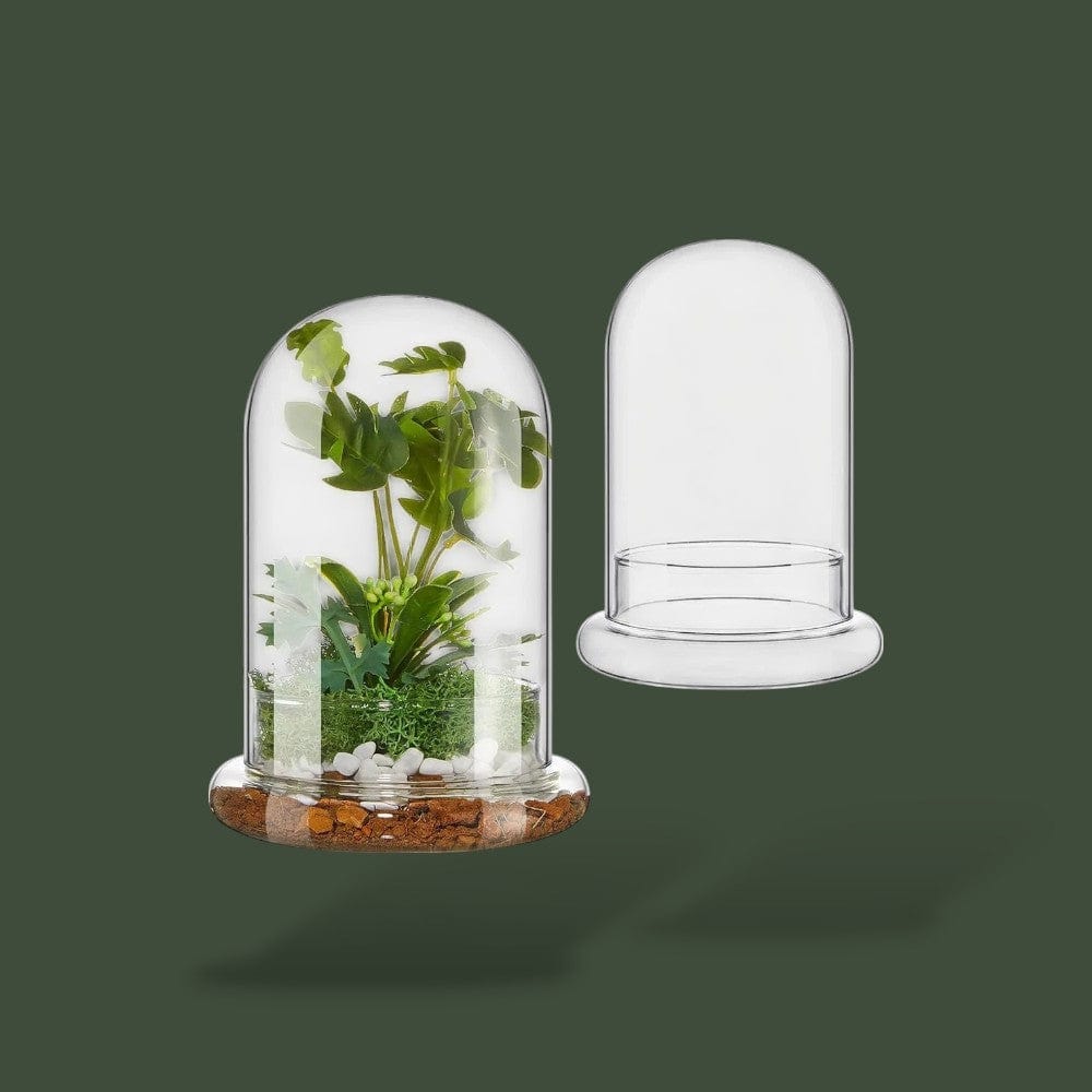 Terrarium Vide pour Plante Terranys
