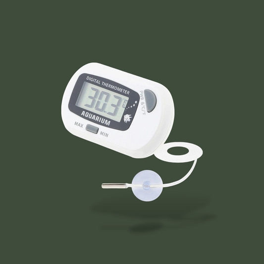 Thermometre Digital | Reptile Terranys