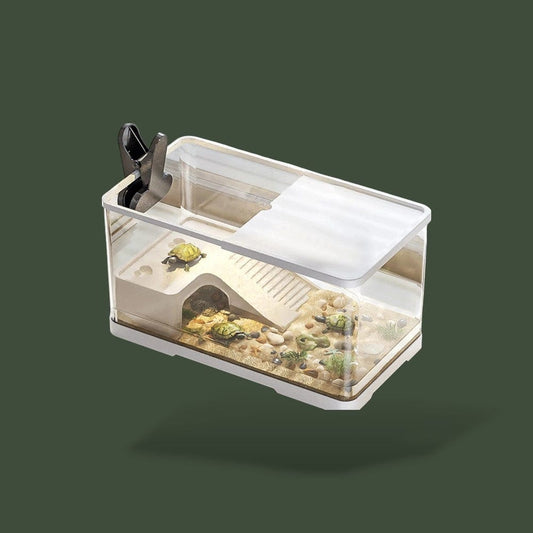 Tortue | Villa Terranys