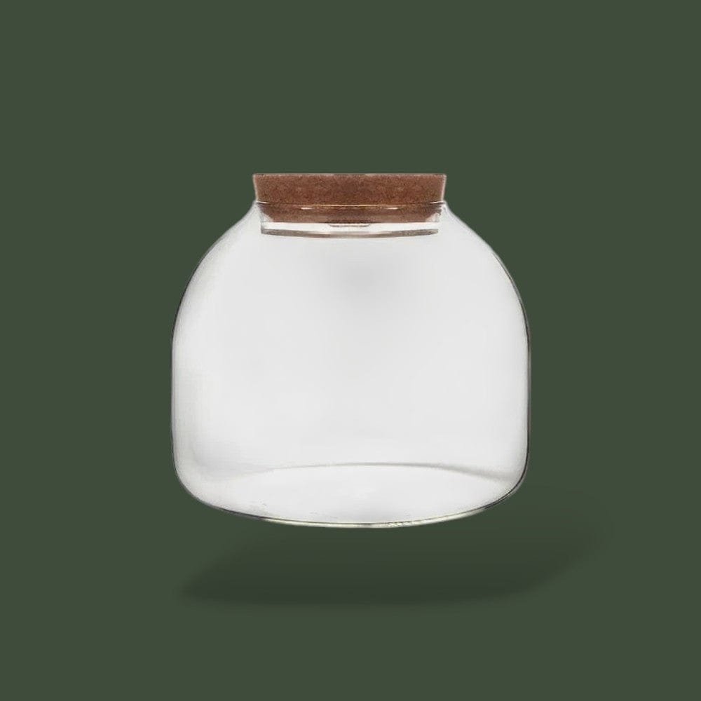 Vase en Verre | Terrarium Terranys