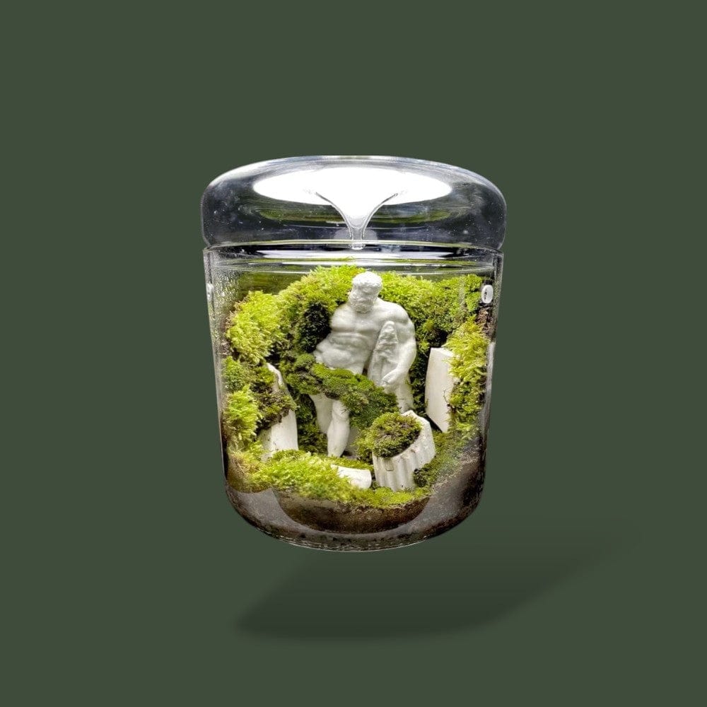 Vase Terrarium Vide Terranys